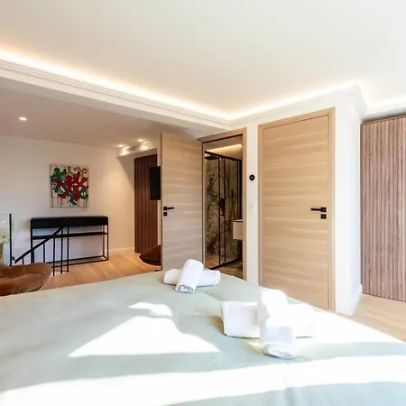 Elegant Duplex With Private Garden Terrace 戛纳